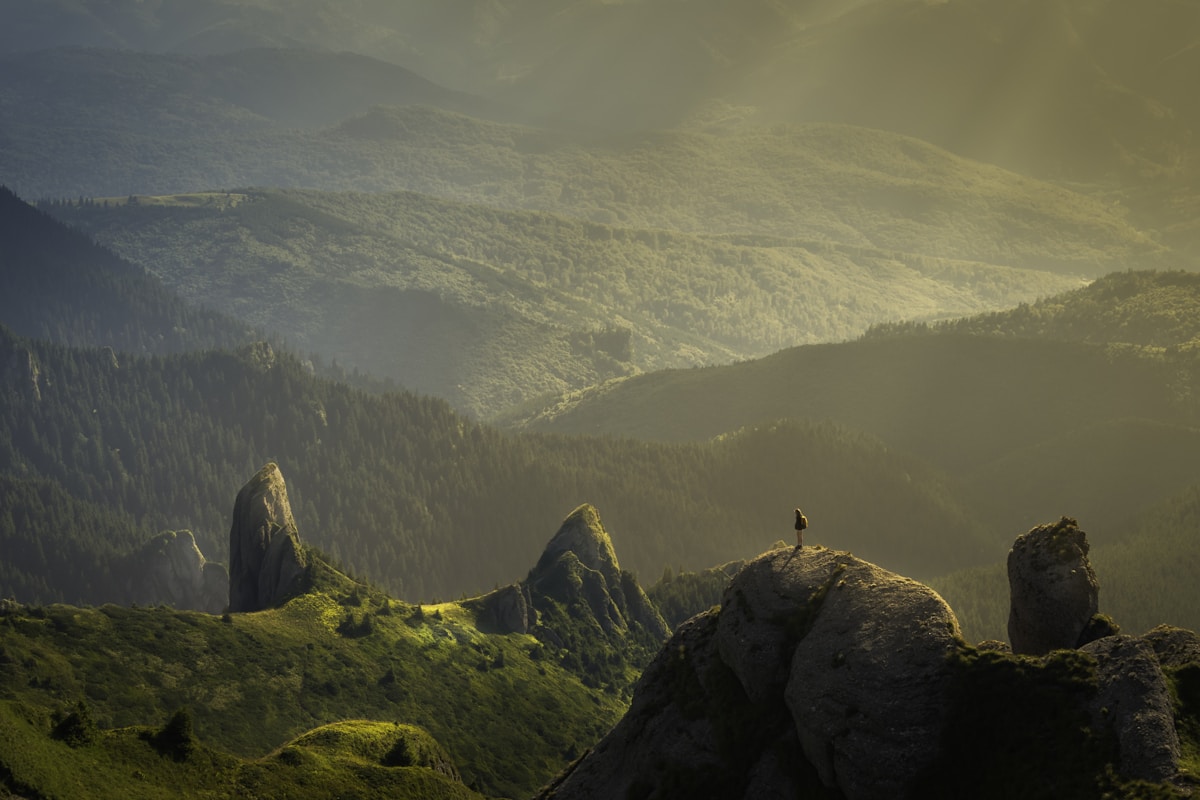 Travel the world